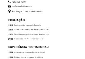 Eu vou fazer seu currículo profissional e moderno