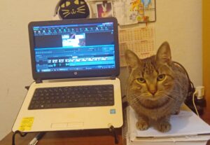 Eu vou te ajudar a criar seu PowerPoint