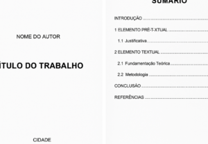 Eu vou Formatar seu trabalho nas normas da ABNT
