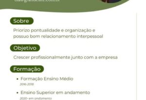Eu vou criar um currículo atrativo