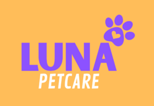 Eu vou criar logomarcas com base nos elementos do Canva