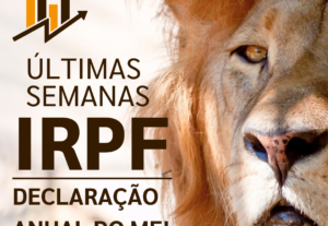 Eu vou fazer sua declaração de imposto de renda