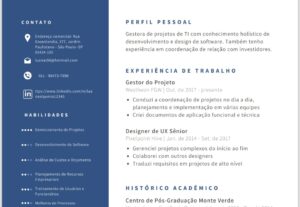 Eu vou fazer seu currículo profissional