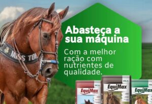 Eu vou criar artes que convertem em 24h