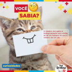 Eu vou desenvolver seu post em até um dia útil