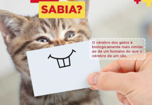 Eu vou desenvolver seu post em até um dia útil