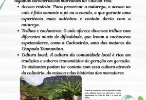 Eu vou fazer a criação de sites, blogs e escrita criativa