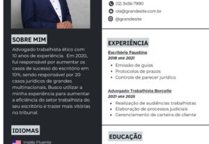 Eu vou criar seu currículo profissional