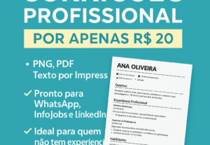 Eu vou fazer seu currículo de nível profissional