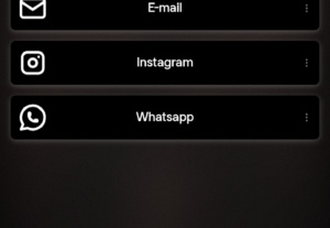 Eu vou fazer um link profissional na bio do seu Instagram po...