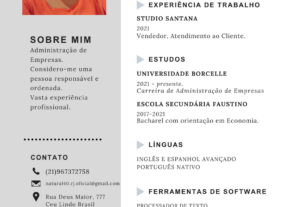 Eu vou Fazer o seu curriculo personalizado