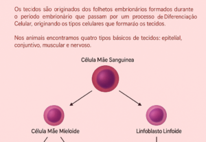 Eu vou te ajudar com slides acadêmicos e/ou para o Enem