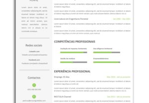 Eu vou criar seu currículo on-line