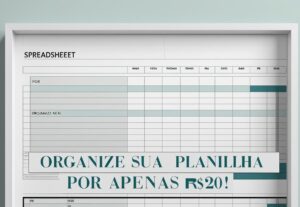 Eu vou organizar sua planilha de controle financeiro