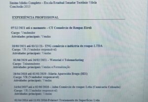 Eu vou Elaboração de currículo profissional