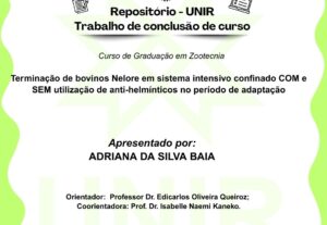 Eu vou fazer Designer gráfico com canva.
