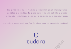 Eu vou Fazer seus posts do Instagram