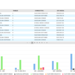 Eu vou construir painéis, dashboards e estruturar dados.