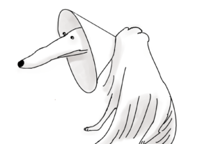 Eu vou Desenhar o  seu animalzinho/pet por apenas 20 reais