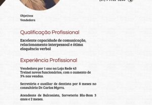 Eu vou fazer currículos profissionais
