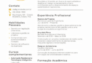 Eu vou fazer Currículo Profissional em pdf - Entrego em 24hr...