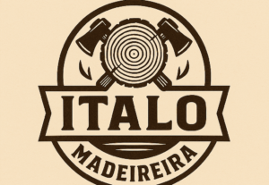 Eu vou criar seu logotipo profissional  em 1 dia