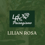 Eu vou Criar portfólio para aumentar seu lucro