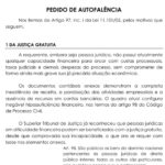 Eu vou criar peças jurídicas e documentos personalizados