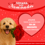 Eu vou fazer 5 artes para postar no Instagram.