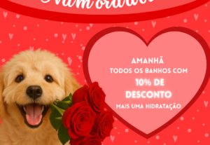 Eu vou fazer 5 artes para postar no Instagram.
