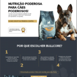 Eu vou criar uma landing page nota 10 para seu negócio