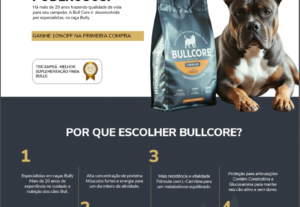 Eu vou criar uma landing page nota 10 para seu negócio