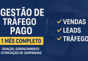 Eu vou fazer gestão de anúncios online no meta ads - Por 1 M...