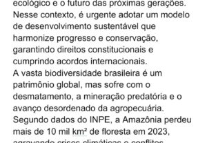 Eu vou FAZER Tradução e criação de redações/textos