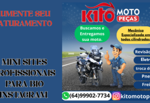Eu vou fazer  uma bio profissional para seu instagram