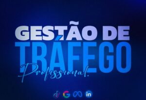 Eu vou fazer a gestão de tráfego do seu projeto.