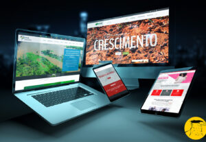 Eu vou desenvolver seu website em menos de 24hrs