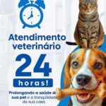 Eu vou fazer um design de social media