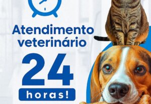 Eu vou fazer um design de social media