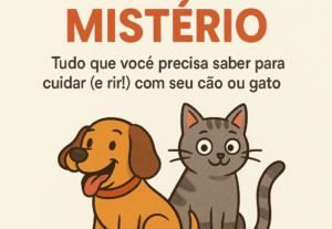 Eu vou fazer uma edição de videos do jeito que voce quiser