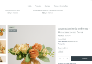 Eu vou oferecer o serviço de teste para e-commerce