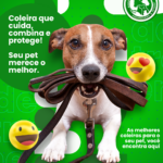 Eu vou fazer a Sua Presença Online em 1 Dia