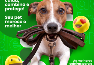 Eu vou fazer a Sua Presença Online em 1 Dia