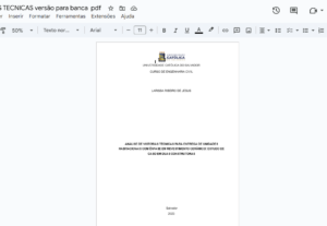 Eu vou revisar digitar e formatar seus textos com atençao