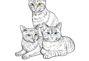 Eu vou fazer uma arte do seu gato