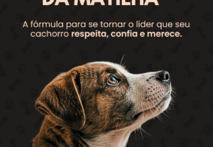 Eu vou diagramar um e-book profissional de até 30 páginas.