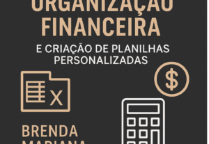 Eu vou criar planilhas financeiras com visual profissional