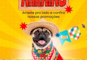 Eu vou criar uma arte para o seu Instagram