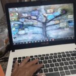Eu vou criar artigos de 800 palavras para o seu blog