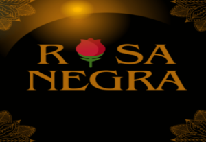 Eu vou Fazer um design grafico